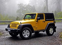 Żółty, Jeep Wrangler Sport, Droga, Las, Mgła