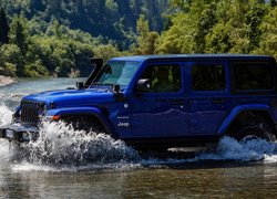 Jeep Wrangler Unlimited rocznik 2019