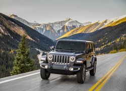 Jeep Wrangler Unlimited Sahara rocznik 2018