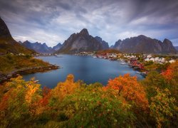 Norwegia, Morze, Góry, Wyspy, Lofoty, Jesień, Drzewa, Domy