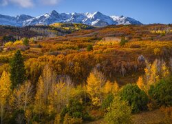 Góry, San Juan Mountains, Przełęcz, Dallas Divide, Jesień, Las, Drzewa, Kolorado, Stany Zjednoczone