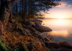 Finlandia, Prowincja Finlandia Zachodnia, Region Pirkanmaa, Jezioro Näsijärvi, Jesień, Wschód słońca, Drzewa, Kamienie