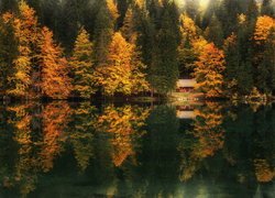 Jezioro Fusine Lake, Jesień, Drzewa, Lasy, Odbicie, Domek, Prowincja Udine, Włochy