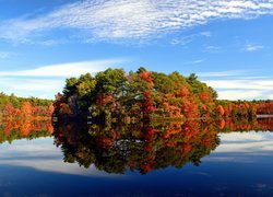 Stany Zjednoczone, Stan Massachusetts, Walpole, jezioro Turner Pond,  Drzewa, Jesień