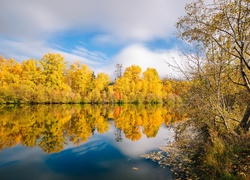 Jesień nad rzeką