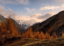 Góry, Alpy Pennińskie, Drzewa, Jesień, Chmury, Szwajcaria