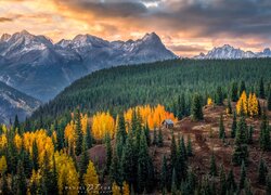 Stany Zjednoczone, Kolorado, Góry, San Juan Mountains, Jesień, Drzewa, Lasy, Chata