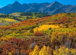 Jesień, Góry, San Juan Mountains, Lasy, Kolorowe, Drzewa, Roślinność, Kolorado, Stany Zjednoczone