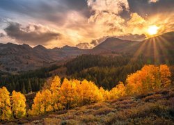 Stany Zjednoczone, Kalifornia, Region Eastern Sierra, Sonora Pass, Jesień, Góry, Chmury, Drzewa, Słońce, Promienie słońca