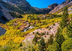 Jesień w kalifornijskim wąwozie Lundy Canyon