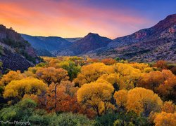 Jesień, Drzewa, Góry, Kanion Sycamore, Arizona, Stany Zjednoczone