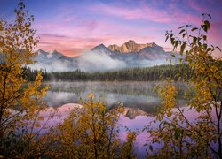 Kanada, Park Narodowy Banff, Góry, Canadian Rockies, Jezioro, Herbert Lake, Mgła, Jesień, Drzewa