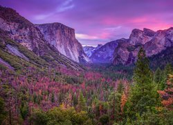 Jesień w Parku Narodowym Yosemite