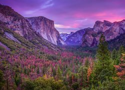 Dolina Yosemite Valley, Park Narodowy Yosemite, Jesień, Góry, Drzewa, Lasy, Stan Kalifornia, Stany Zjednoczone