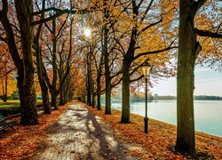 Jesień, Park, Latarnia, Drzewa, Jezioro