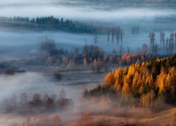 Jesienna mgła