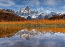 Jesienna roślinność i odbicie góry Fitz Roy w jeziorze