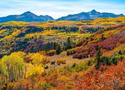 Stany Zjednoczone, Kolorado, Telluride, Góry, San Juan Mountains, Góra, Wilson Peak, Las, Jesień, Góry, Drzewa