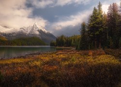 Góry, Canadian Rockies, Jesień, Drzewa, Jezioro, Alberta, Kanada