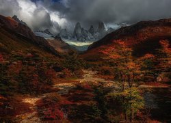 Jesienna roślinność w dolinie i góra Fitz Roy pod ciemnymi chmurami