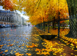 Jesień, Ulica, Deszcz, Parasol, Budynki, Samochody, Drzewa, Liście