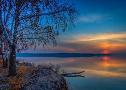 Jesienne brzozy nad jeziorem o zachodzie słońca w grafice fractalius