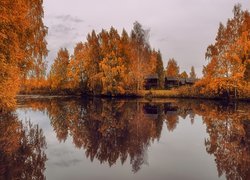 Jezioro, Brzozy, Jesień, Drewniane, Domki