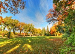 Park, Drzewa, Alejki, Ławki, Liście, Jesień