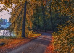 Jesienne drzewa i droga nad stawem w parku