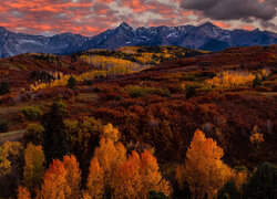 Stany Zjednoczone, Kolorado, San Juan Mountains, Dallas Divide, Jesień, Drzewa, Las, Góry, Wzgórza, Niebo, Chmury, Zachód słońca