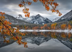 Jesienne drzewa i góry w Parku Narodowym Banff