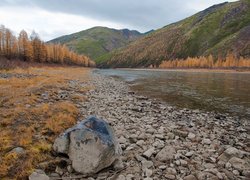 Jesienne drzewa i kamienie nad rzeką w górach