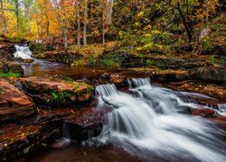 Jesienne drzewa i kaskada na leśnej rzece Horton Creek w Arizonie