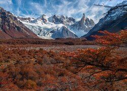 Jesienne drzewa i krzewy na tle ośnieżonych And i szczytu Fitz Roy