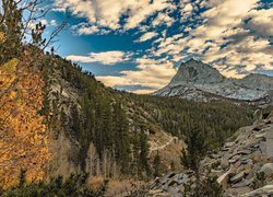 Góry Sierra Nevada, Przełęcz, Bishop Pass, Skały, Drzewa, Kalifornia, Stany Zjednoczone