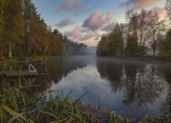 Jesienne drzewa i pomosty nad zamglonym jeziorem