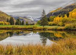 Góry, Gore Range, Staw, Drzewa, Jesień, Kolorado, Stany Zjednoczone