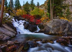 Jesień, Kolorowe, Krzewy, Drzewa, Skały, Kamienie, Rzeka, Bishop Creek, Kalifornia, Stany Zjednoczone