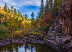 Stany Zjednoczone, Arizona, Sedona, Drzewa, Wąwóz, Skały