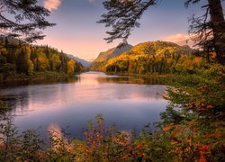 Quebec, Kanada, Góry, Jezioro, Jesień, Drzewa, Krzewy