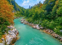 Jesienne drzewa na brzegach rzeki Socza w Slowenii