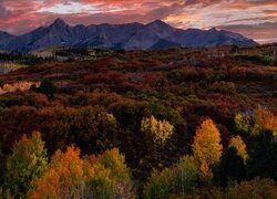 Stany Zjednoczone, Kolorado, Dallas Divide, Góry, Lasy, Jesień