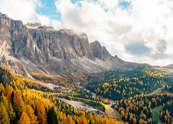 Jesienne drzewa na przełęczy Passo Gardena we włoskich Dolomitach