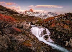 Jesienne drzewa na skałach i góra Fitz Roy w tle