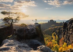 Niemcy, Park Narodowy Saskiej Szwajcarii, Góry Połabskie, Skały, Drzewa, Jesień, Chmury, Wschód słońca