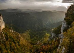 Jesienne drzewa na skałach w górach