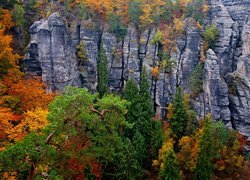 Niemcy, Park Narodowy Saskiej Szwajcarii, Skały, Jesień, Drzewa