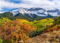 Góry, San Juan Mountains, Drzewa, Kolorowe, Jesień, Wzgórza, Kolorado, Stany Zjednoczone