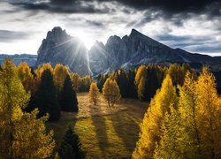 Dolomity, Góry, Sassolungo, Płaskowyż, Seiser Alm, Dolina, Val Gardena, Drzewa, Jesień, Chmury, Włochy