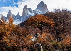 Jesienne drzewa na tle góry Fitz Roy w Patagonii